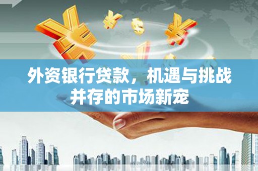 沁县外资银行贷款，机遇与挑战并存的市场新宠