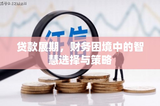 沁县贷款展期，财务困境中的智慧选择与策略