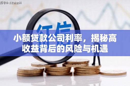 沁县小额贷款公司利率，揭秘高收益背后的风险与机遇