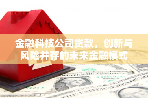 沁县金融科技公司贷款，创新与风险并存的未来金融模式