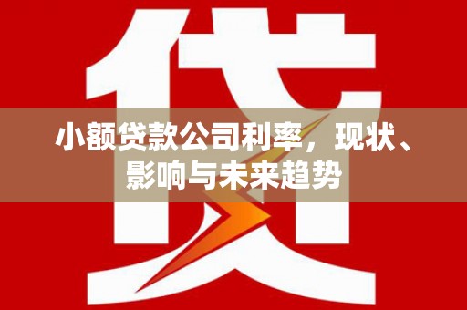 沁县小额贷款公司利率，现状、影响与未来趋势
