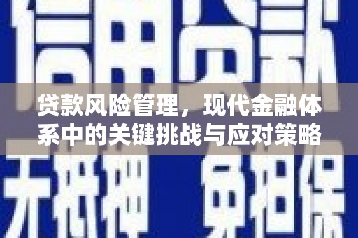 沁县贷款风险管理，现代金融体系中的关键挑战与应对策略