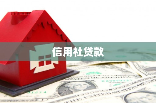 沁县信用社贷款