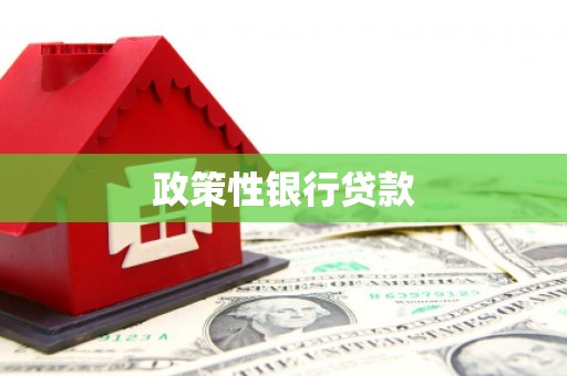 沁县政策性银行贷款