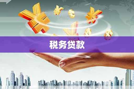 沁县税务贷款