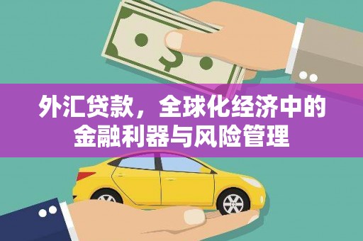 沁县外汇贷款，全球化经济中的金融利器与风险管理