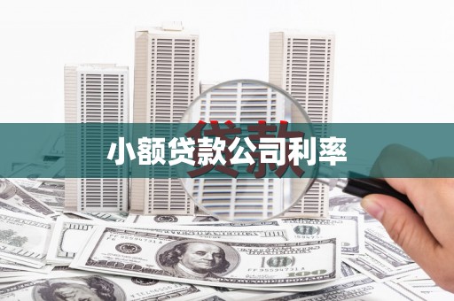 沁县小额贷款公司利率