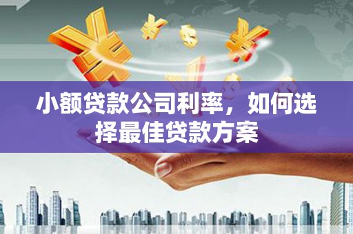 沁县小额贷款公司利率，如何选择最佳贷款方案