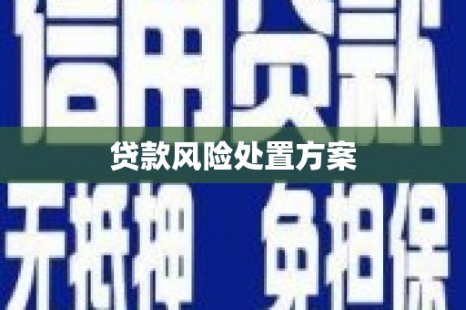 沁县贷款风险处置方案