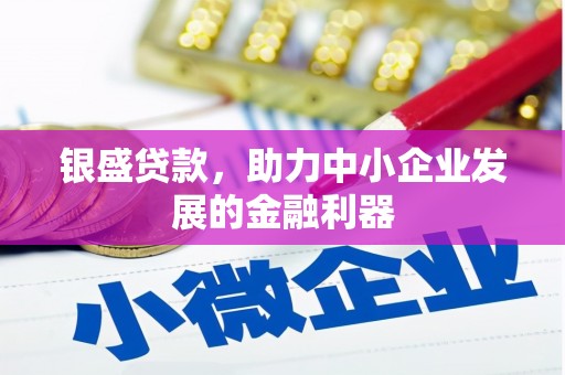 沁县银盛贷款，助力中小企业发展的金融利器