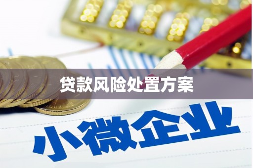 沁县贷款风险处置方案