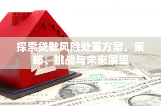 沁县探索贷款风险处置方案，策略、挑战与未来展望