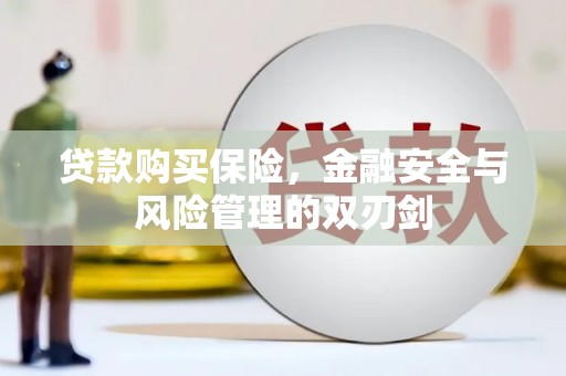 沁县贷款购买保险，金融安全与风险管理的双刃剑