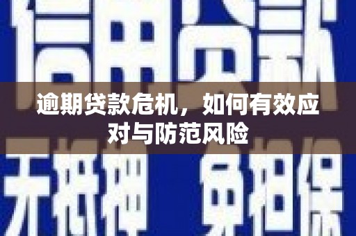 沁县逾期贷款危机，如何有效应对与防范风险