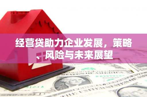 沁县经营贷助力企业发展，策略、风险与未来展望