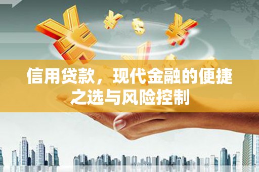 沁县信用贷款，现代金融的便捷之选与风险控制