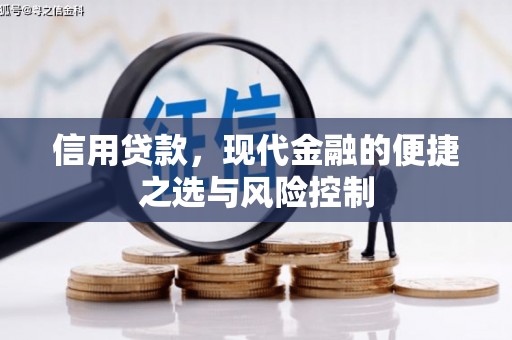 沁县信用贷款，现代金融的便捷之选与风险控制