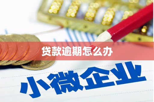 沁县贷款逾期怎么办