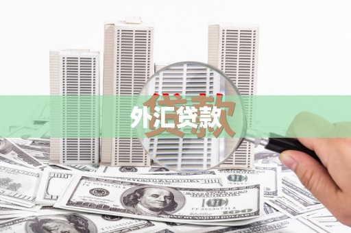 沁县外汇贷款