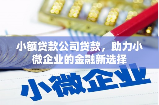 沁县小额贷款公司贷款，助力小微企业的金融新选择