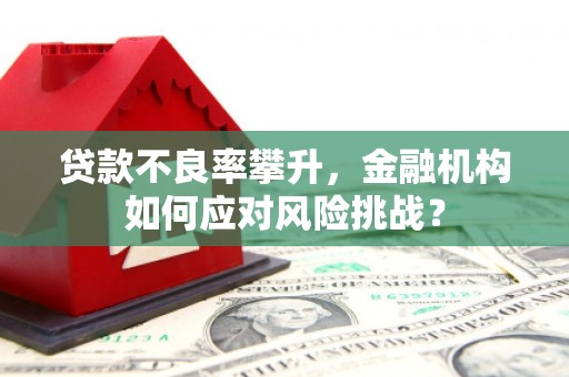 沁县贷款不良率攀升，金融机构如何应对风险挑战？