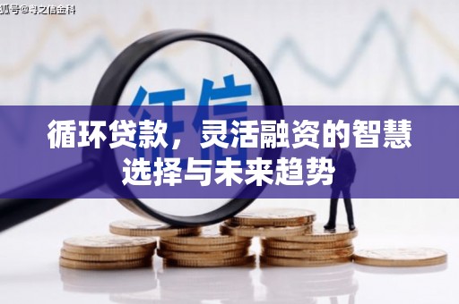 沁县循环贷款，灵活融资的智慧选择与未来趋势