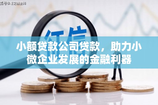 沁县小额贷款公司贷款，助力小微企业发展的金融利器