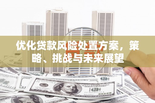 沁县优化贷款风险处置方案，策略、挑战与未来展望