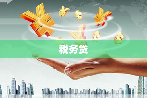 沁县税务贷