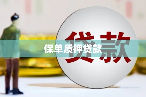 沁县保单质押贷款