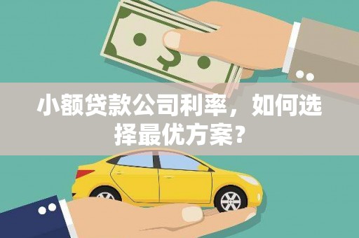 沁县小额贷款公司利率，如何选择最优方案？