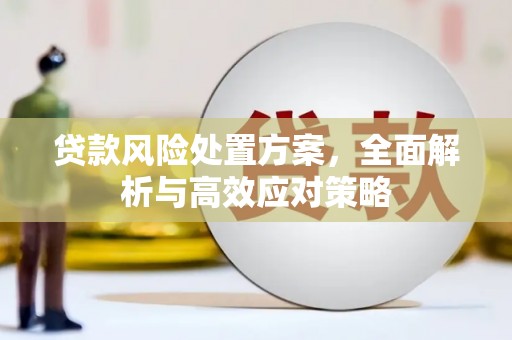 沁县贷款风险处置方案，全面解析与高效应对策略