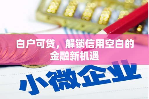 沁县白户可贷，解锁信用空白的金融新机遇