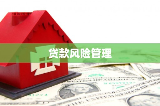 沁县贷款风险管理