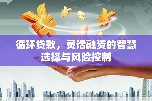 沁县循环贷款，灵活融资的智慧选择与风险控制