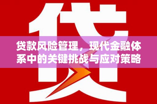沁县贷款风险管理，现代金融体系中的关键挑战与应对策略