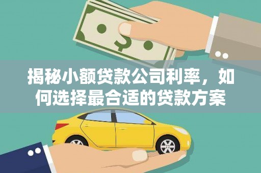 沁县揭秘小额贷款公司利率，如何选择最合适的贷款方案