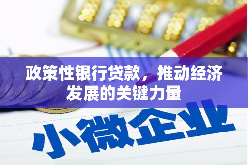 沁县政策性银行贷款，推动经济发展的关键力量