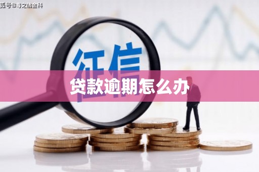 沁县贷款逾期怎么办