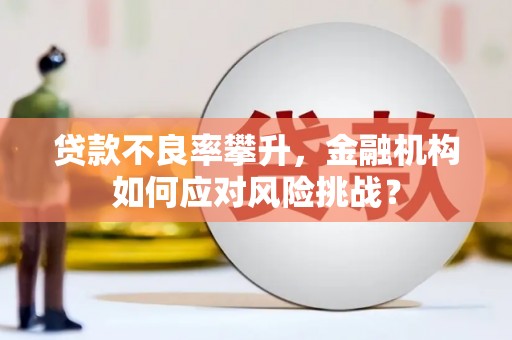 沁县贷款不良率攀升，金融机构如何应对风险挑战？