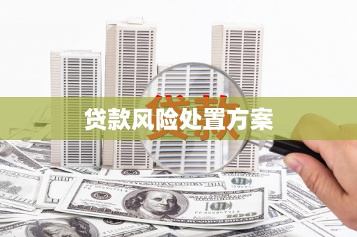 沁县贷款风险处置方案