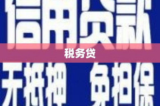 沁县税务贷